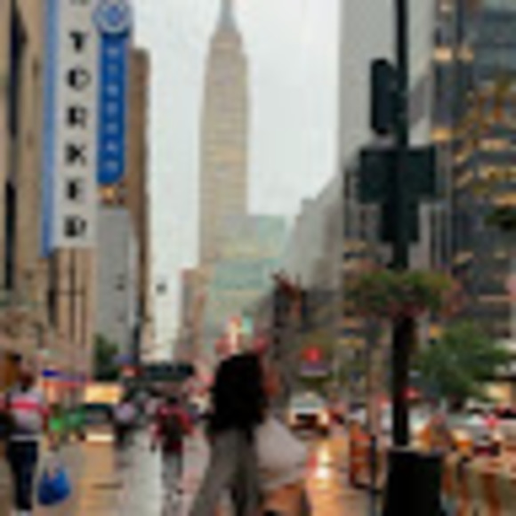 Meet your Posher, Lily - Picture 1 of 1